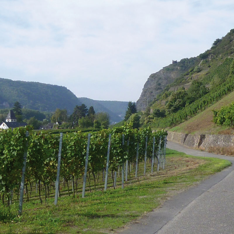 Tour 3 - Leutesdorf, Foto: Barb Mehrens