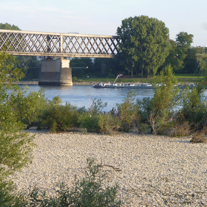 Tour 4 - Engerser Feld, Foto: Barb Mehrens